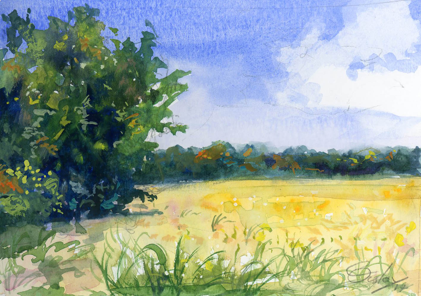 La Vergne Soybean Field