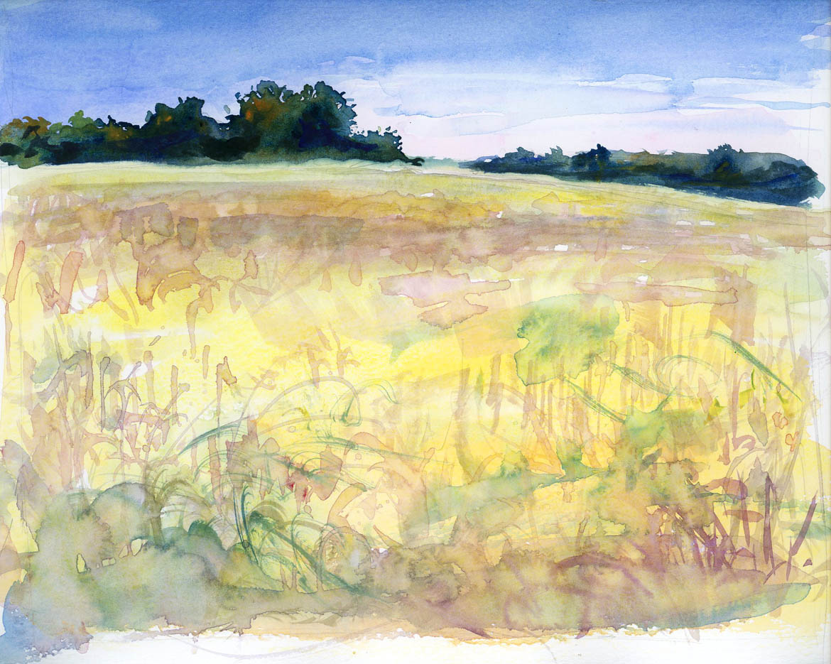 Farmland In LaVergne Tennessee (watercolor)