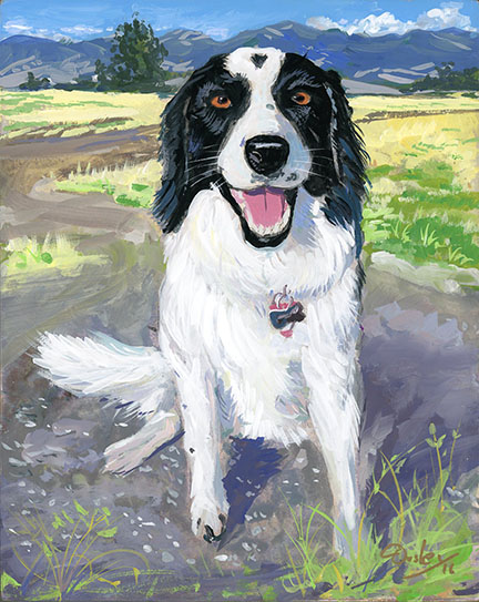 Pet Portraits and Animals