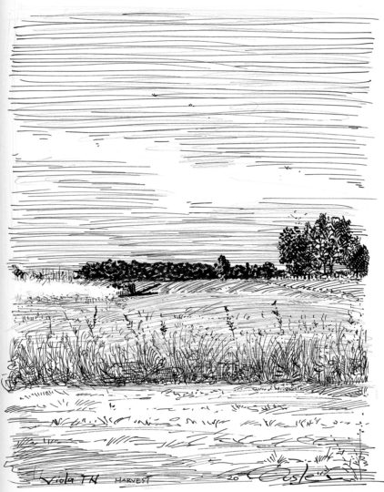 Pen and Ink Drawings