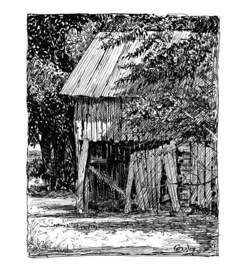 Pen and Ink Drawings