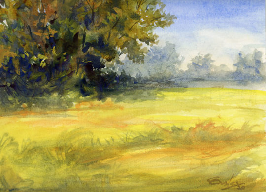 Watercolor and Gouache