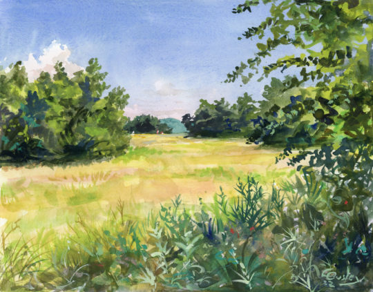 Landscape Paintings