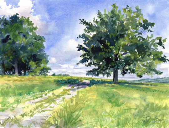 Watercolor and Gouache
